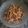 Cooksnap dari Utari untuk resep Chicken Teriyaki