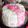 Cooksnap dari uji lestari untuk resep Rainbow Cake Kukus lembut