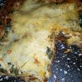 rneandika Cooksnap-ja, amikor elkészítette a(z) Lazacos-spenótos lasagne receptet.
