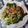Cooksnap dari nur hidayati untuk resep Pokcoy bakso cah bawang putih