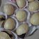 Cooksnap dari onnea untuk resep Mini Pao (Bakpao isi coklat)