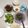 Cooksnap của Hồng Ngọc Nguyễn khi họ làm theo món Canh khoai mỡ nấu tôm tươi