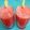 Bina Samir Telivala's cooksnap of when they made Watermelon juice.