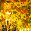 ayana.green82's cooksnap of when they made Scootsie's Taco Dip.