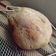 El cooksnap de Cami Q ✿ cuando hizo Pan fácil en panificadora 🍞.