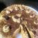 Cooksnap dari Fince Wambrauw untuk resep Butter Cream Mocca