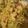 Asha Sharma's cooksnap of when they made Veg pulao.