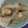 Cooksnap dari tika untuk resep Dimsum ayam