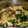 Michelle's cooksnap of when they made Sausage & Cheese Tortellini Soup.