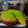 Cooksnap dari S. Aslamia untuk resep Butter Cake Sukun