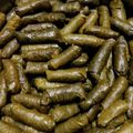 صورة من براءة هلال ، شاركها بعد تجربة وصفة ورق عنب مع البندورة و دبس الرمان طعم عنجد خياااااااال☺☺😋😋😋😋