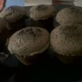 Cooksnap dari Oktavira G. Wibowo untuk resep Molten Chocolate Cake
