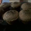 Cooksnap dari Oktavira G. Wibowo untuk resep Molten Chocolate Cake