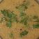 Prerna choudhary का कुकस्नैप जब उन्होंने वेज दलिया (veg daliya recipe in Hindi) बनाया था।