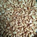 Cooksnap dari Mey Chan untuk resep Kacang Bawang, Gurih, Renyah, Nikamat, Bikin Nagih 😊