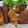 Cooksnap dari Denta untuk resep Ayam Bakar Bumbu Padang