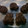 Cooksnap dari LyRa untuk resep Cornflakes Chocolate Ball