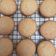 El cooksnap de Mate Amargo 🧉🍪 cuando hizo Galletitas de Miel🍯.