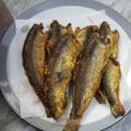 Cooksnap dari Fika Retna untuk resep Bandeng Presto Tulang Lunak(frozen food/makanan beku)