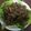小天秤 的 京醬肉絲 cooksnap
