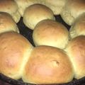 El cooksnap de Kasandra Sanchez cuando hizo Pan en licuadora.