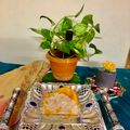 Anita Desai's cooksnap of when they made सैगो मँगो पुडिंग (mango pudding recipe in marathi).
