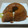 El cooksnap de Lady Marmalade cuando hizo Budin de pan con dulce de batatahecho con flan.