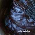 Cooksnap dari Novia Diana Ayu Wulandari untuk resep Selai Coklat Homemade