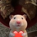 El cooksnap de Rommely Espinoza cuando hizo Torta de Cambur o Banana.