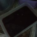 Cooksnap dari Rini S Lestari untuk resep Puding debm enak