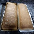 El cooksnap de horacio gonzalez cuando hizo Pan casero (forma lactal).