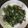 莊雁淇 的 皮蛋地瓜葉 cooksnap