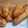 Cooksnap dari Wenny Yudi, S.Psi, MM. untuk resep Pisang Goreng Crispy (tanpa tepung roti)
