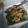 รูป Cooksnap ของ Jitsom Chutiman เมื่อเขาทำ ตำ/ยำ แซลมอน