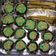 Cooksnap dari Romiyatun untuk resep Brownis cup utk jualan
