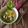 Cooksnap dari yanti sutanto untuk resep Sop Wortel Bakso