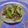 El cooksnap de alexa_ dr_ cuando hizo Tacos de soya.