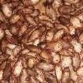 El cooksnap de Leandro Graciano cuando hizo Semillas de calabaza tostadas (snacks).