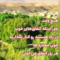 کوک اسنپ غزاله علی بخشی بعد از امتحان کردن کوکی ترکدار.