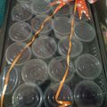 Cooksnap dari Fery Herdianto untuk resep Puding Cup Mawar