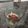 El cooksnap de Maria Garcia cuando hizo Panna cotta de manzana y canela con tierra de galleta.