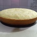 El cooksnap de Anahi Ruscitti cuando hizo Biscuit H2o o ( bizcochuelo de agua ).