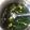 Cooksnap dari Risma Yani untuk resep Sayur bayam jagung manis natural