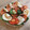 El cooksnap de Alicia Sanchez Diaz cuando hizo Ensalada caprese.