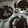 Cooksnap dari Indah Irmawati untuk resep Cream chese oreo