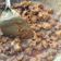 Cooksnap dari Ditha gendut untuk resep Babat Iso Gongso