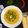 Cooksnap dari Mama Rofif Najmi untuk resep Gulai Pakis + Ayam