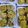 Syeda Hira Mujadid 's cooksnap of when they made Frozen shami kababs.
