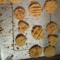 Cooksnap dari sri indah lestari untuk resep Kue lebaran simpel Kue semprit gluten free Tepung beras Eggless