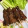 Cooksnap dari Yulieana untuk resep Sate Goreng (Cocok untuk daging Sapi, daging Kambing dan Tempe)